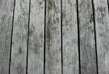 pexels-enjoyviibes-954655 pexels-enjoyviibes-954655